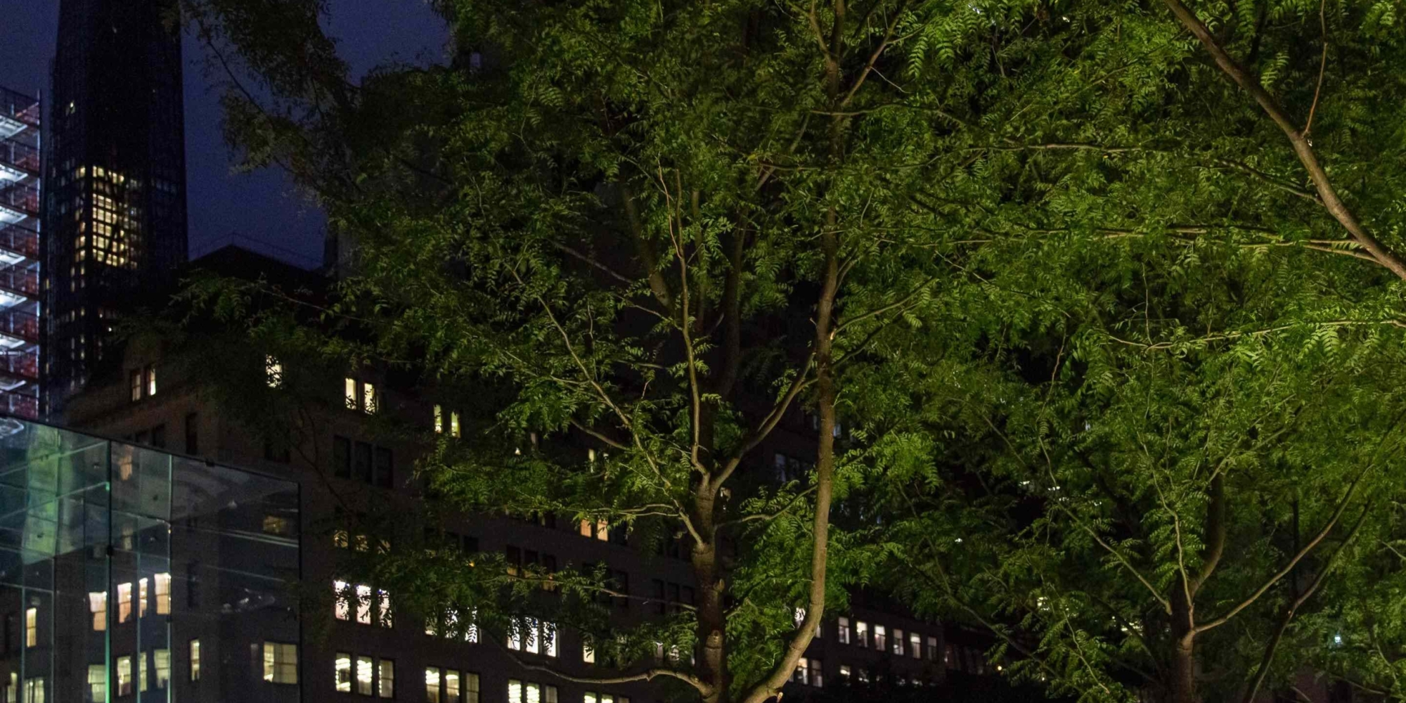 apple_fifth_ave_trees apple_fifth_ave_trees