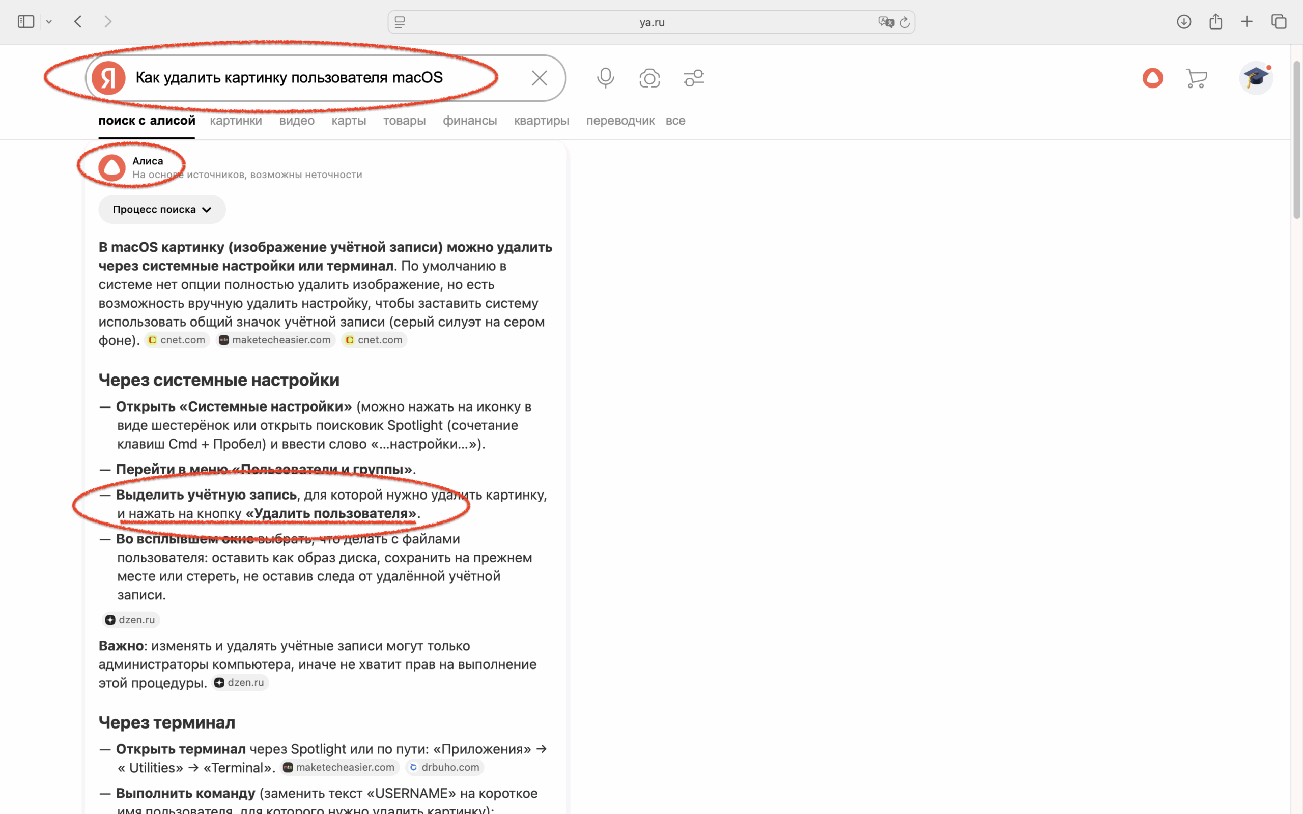 Yandex Alice is stupid