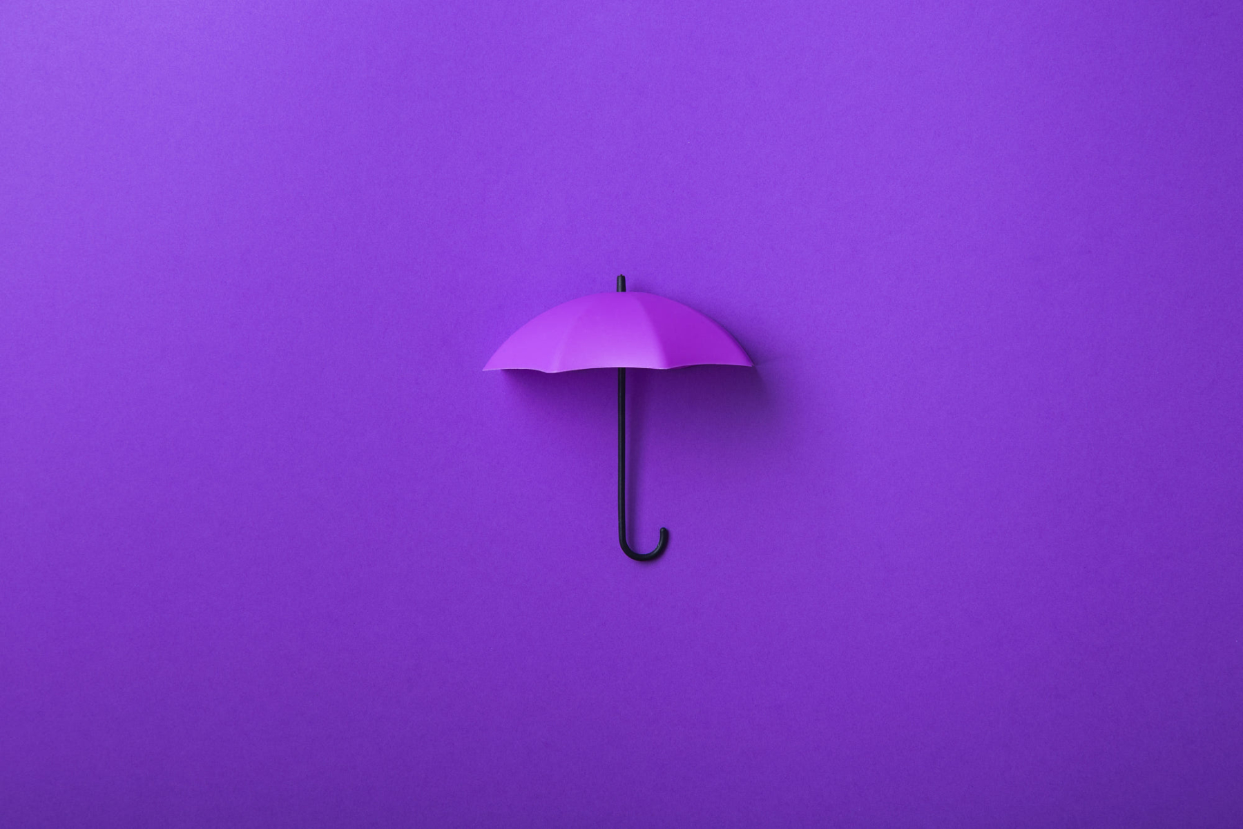 Purple umbrella
